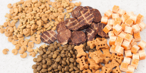 ×ðÁú¿Ê±(Öйú)ÈËÉú¾ÍÊDz«!