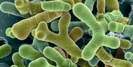 尊龙凯时(中国)人生就是搏!