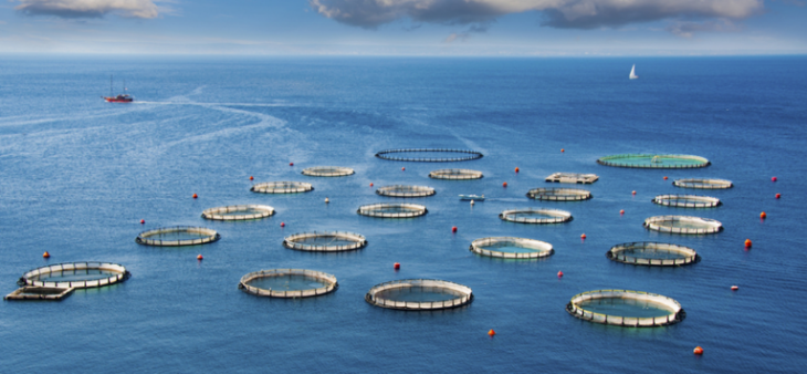 ×ðÁú¿Ê±(Öйú)ÈËÉú¾ÍÊDz«!