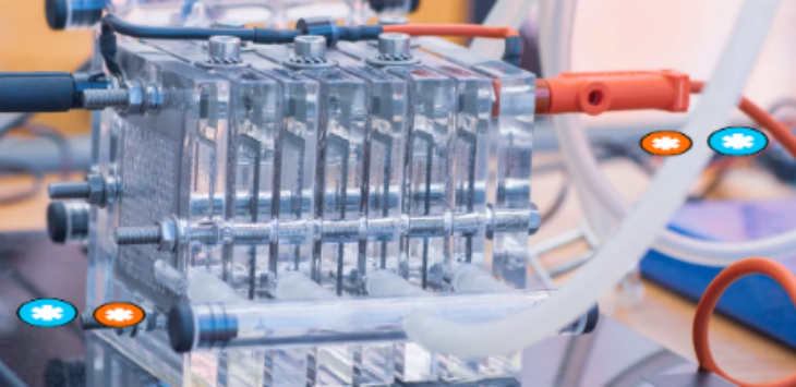 ×ðÁú¿Ê±(Öйú)ÈËÉú¾ÍÊDz«!