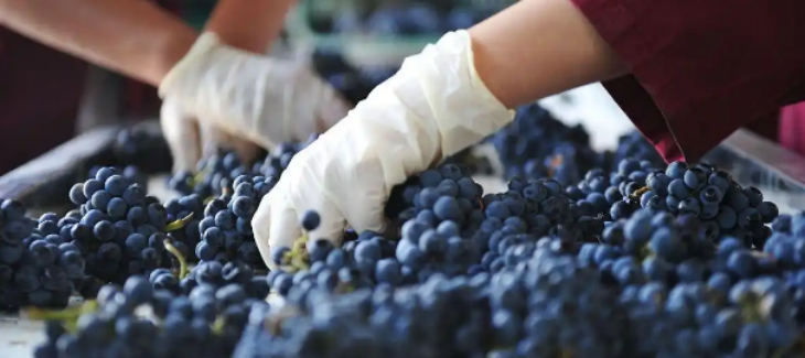 ×ðÁú¿Ê±(Öйú)ÈËÉú¾ÍÊDz«!