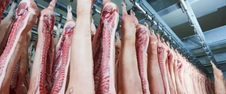 尊龙凯时(中国)人生就是搏!