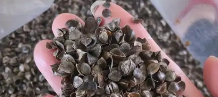 尊龙凯时(中国)人生就是搏!