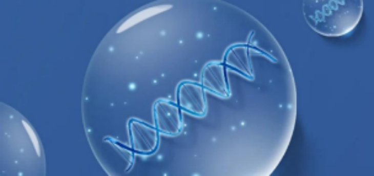 ×ðÁú¿Ê±(Öйú)ÈËÉú¾ÍÊDz«!